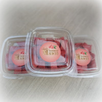 Dzērveņu pastilas 90g