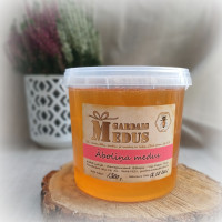 Āboliņa medus 1300g